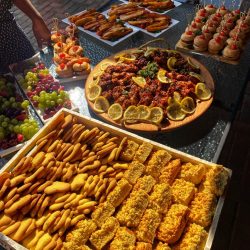 WhatsApp Image 2025-06-15 at 08.18.21